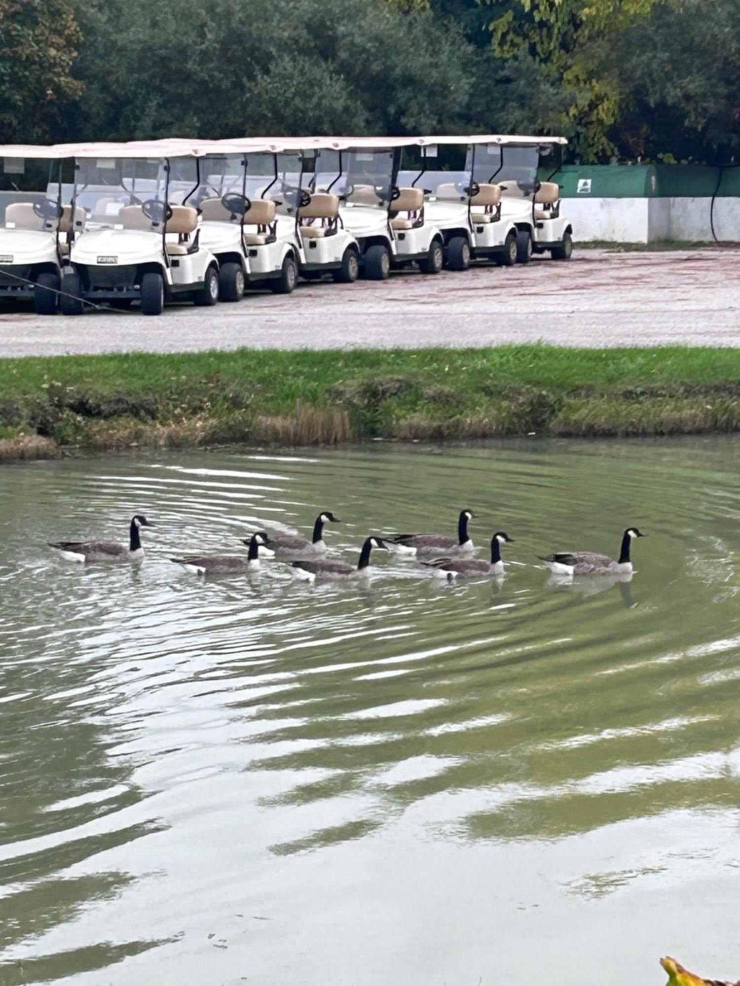 ביי סיטי Bay Valley Resort & Conference Center מראה חיצוני תמונה